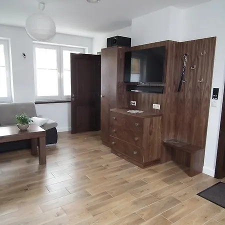 Pod Modrzewiami Lejlighed Krynica Zdroj