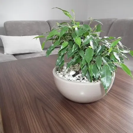 Apartment Pod Modrzewiami *