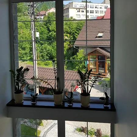 Pod Modrzewiami Apartment *