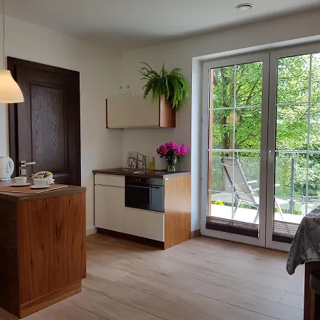 Pod Modrzewiami Apartment Krynica Zdroj